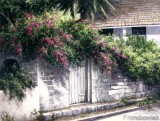 Click to View Blossom Gate